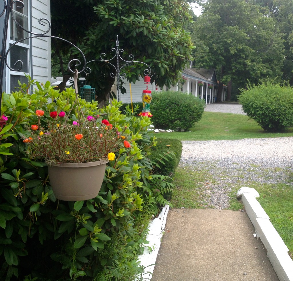 Veiw of motel from office door.