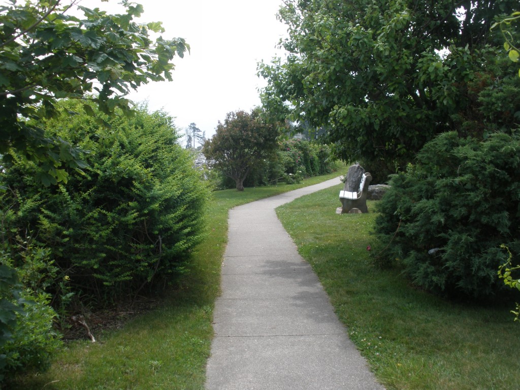 Walking patch along the ocean